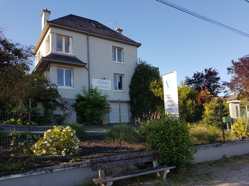 Vétérinaire